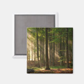 Aimant Forêt | Forêt d'automne (Recto/Verso)