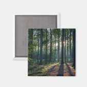 Aimant Forêt | Forêt Noire Allemagne (Recto/Verso)