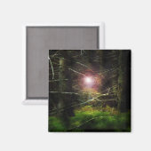 Aimant Forêt mystique (Recto/Verso)