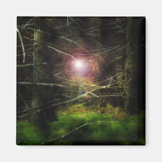Aimant Forêt mystique