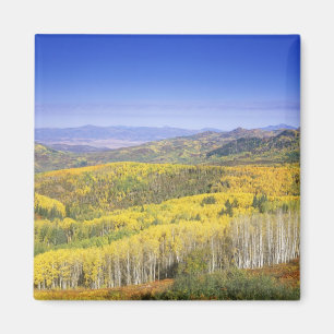 Aimant Forêt nationale de Routt en couleur d'automne, prè