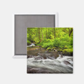 Aimant Forêt nationale de Siuslaw, ruisseau Sweet, Oregon (Recto/Verso)