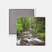 Aimant Forêt nationale de Siuslaw | Sweet Creek (Recto/Verso)