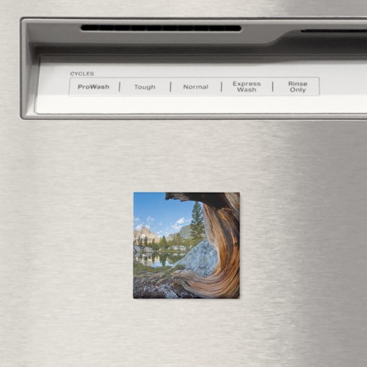 Aimant Forêt nationale d'Inyo, Californie (In Situ (Lave-vaisselle))