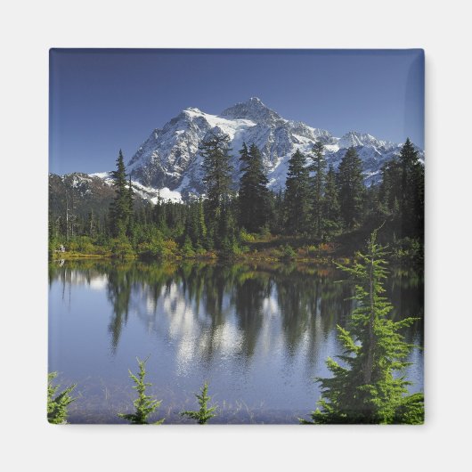 Aimant Forêt nationale du Mont Baker-Snoqualmie (Devant)