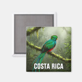 Aimant Forêt nuageuse de Quetzal Monteverde (Recto/Verso)