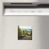 Aimant Forêt | Ore Mountains Allemagne (In Situ (Lave-vaisselle))