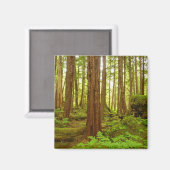 Aimant Forêt pluviale tempérée d'Alaska (Recto/Verso)