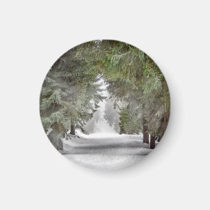 Aimant Forêt Route Pins de Neige Photo