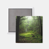 Aimant Forêt stérile (Recto/Verso)