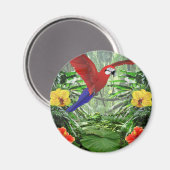 Aimant Forêt tropicale des pluies (Recto/Verso)