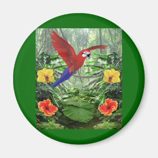 Aimant Forêt tropicale des pluies