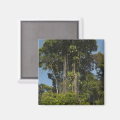 Aimant Forêt tropicale en bordure de la rivière Rewa, Guy (Recto/Verso)
