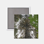 Aimant forêt tropicale humide (Recto/Verso)