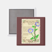 Aimant Forfait de semences de gloire du matin (Recto/Verso)