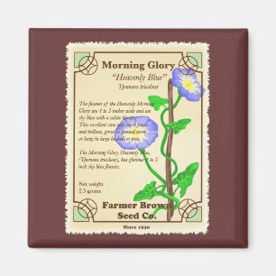 Aimant Forfait de semences de gloire du matin