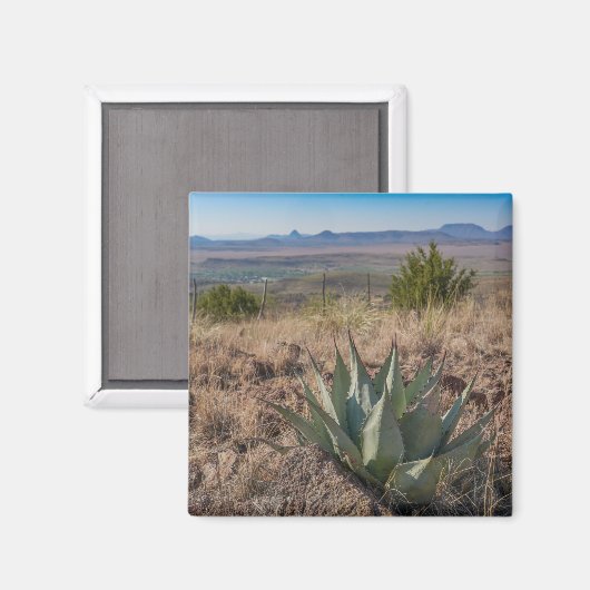 Aimant Fort Davis Mountains Agave (Recto/Verso)