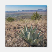 Aimant Fort Davis Mountains Agave (Devant)