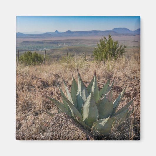 Aimant Fort Davis Mountains Agave (Devant)