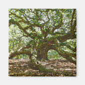 Aimant Forte Et Grave (Devant)