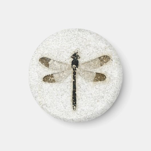 Aimant Fossil de Damselfly, Butte Fossil NM, Wyoming (Devant)