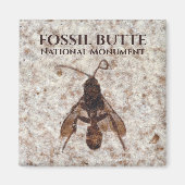 Aimant Fossil, Lac Fossil, Butte Fossil NM, Wyoming (Devant)