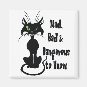 Aimant Fou, Mauvais & Dangereux à Connaître, chat noir