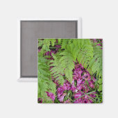 Aimant fougères forestières avec pétales de fleurs roses  (Recto/Verso)