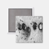 Aimant fourmis de surf (Recto/Verso)