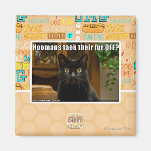 Aimant Fourrure de Hoomans Taek là ?