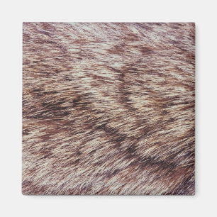 Aimant Fourrure de Lynx