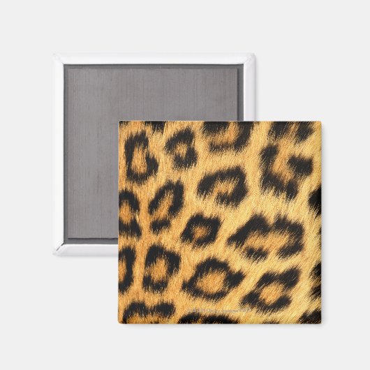 Aimant Fourrure Jaguar (Recto/Verso)