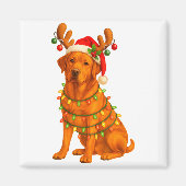 Aimant Fox Red Lab Christmas Tree Light Pajama Labrador D (Devant)