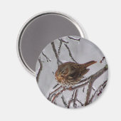 Aimant Fox Sparrow (Recto/Verso)