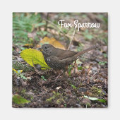 Aimant Fox Sparrow (Devant)
