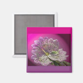 Aimant Foxglove Abberant (Recto/Verso)