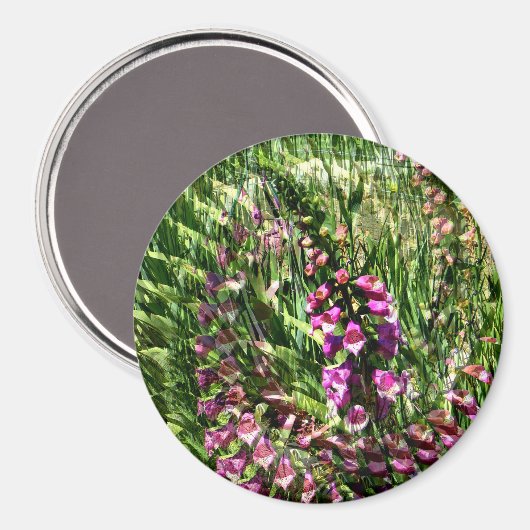 Aimant Foxglove Love...... (Recto/Verso)