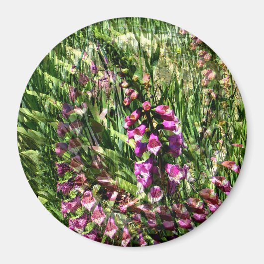 Aimant Foxglove Love...... (Devant)