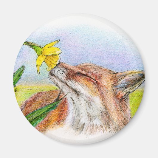 Aimant Foxy (Devant)