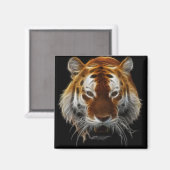 Aimant Fractage du tigre (Recto/Verso)