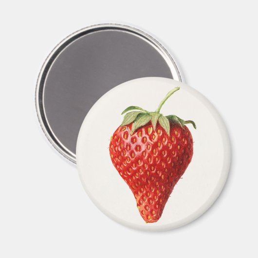 Aimant fraise vintage (Recto/Verso)