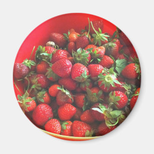 Aimant Fraises
