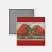 Aimant Fraises Giant Fruit Antique Fruit Amusant (Recto/Verso)