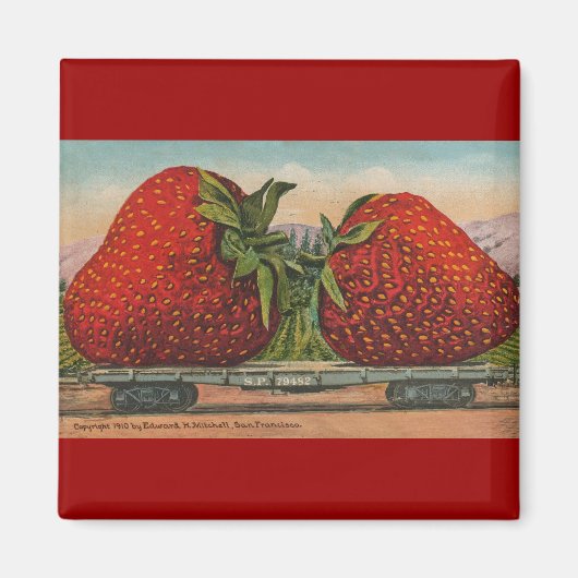 Aimant Fraises Giant Fruit Antique Fruit Amusant (Devant)