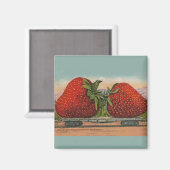Aimant Fraises Giant Fruit Antique Fruit Amusant (Recto/Verso)