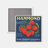 Aimant Fraises Hammond Klondykes (Recto/Verso)