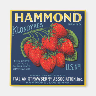 Aimant Fraises Hammond Klondykes