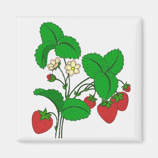 Aimant Fraises pour le petit-déjeuner (Devant)