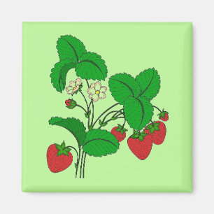 Aimant Fraises pour le petit-déjeuner