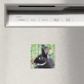 Aimant Framboise Bunny (In Situ (Lave-vaisselle))
